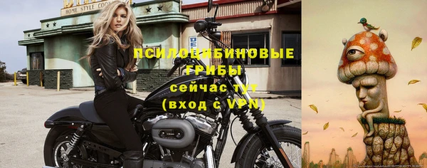 марки nbome Дмитриев