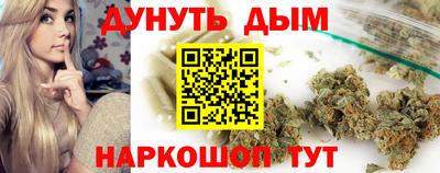мдпв Новозыбков