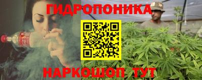 мдпв Новозыбков