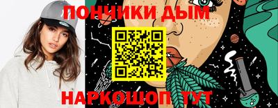 мдпв Новозыбков