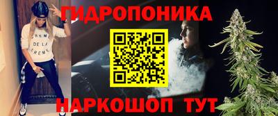 Альфа ПВП Новодвинск