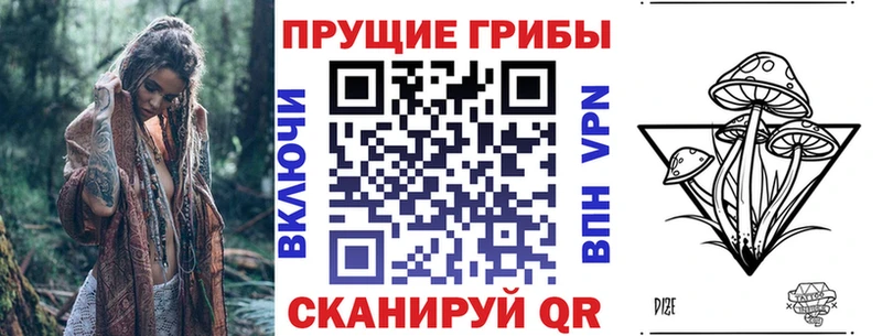 Псилоцибиновые грибы мицелий  Темрюк 